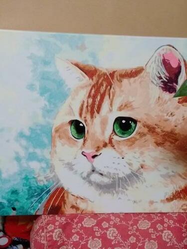 Фотографии готовых работ картин по номерам и алмазной мозаики