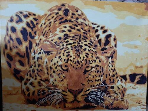 Фотографии готовых работ картин по номерам и алмазной мозаики