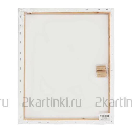 Тип товара Коробка 20 шт.: Холст Две картинки на подрамнике 50X60