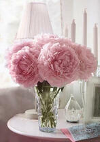 Хрустальная ваза с букетом розовых пионов