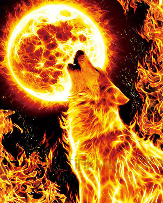 Алмазная мозаика 40x50 BOX20-2KMB-3415