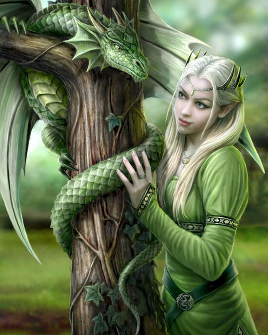 Алмазная мозаика 40x50 Коробка 20 шт: Дракон и эльф