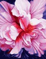 Пион вблизи