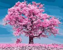 Весеннее цветение сакуры