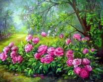 Кусты пионов. Анка Булгару