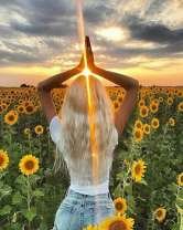 Девушка на закате у поля с подсолнухами