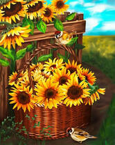 Воробушки и декоративные подсолнухи