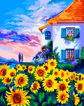 Цветущее поле подсолнухов у дома