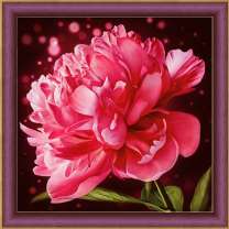 Несравненный пион