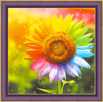 Разноцветный подсолнух