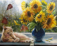 в интернет-магазине