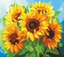 Пять красивых цветов подсолнуха