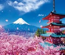 Снежная вершина горы Фуджи и цветение сакуры
