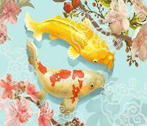 Карпы кои и цвет сакуры