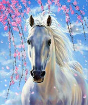Белогривая красавица под цветущей сакурой