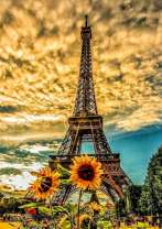 Подсолнухи на фоне Эйфелевой башни