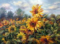 Поле подсолнечника