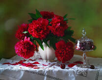 Ярко красные пионы в белой вазе