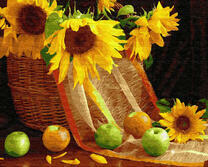 Цветы подсолнуха и яблока