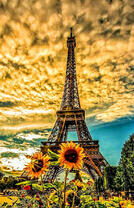 Подсолнухи и вид на Эйфелеву башню