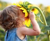 Мальчик в цветке подсолнуха