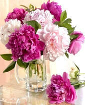 Маленький букетик пионов в бокале