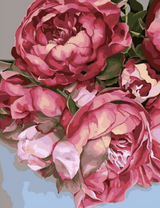 Крупные розовые пионы