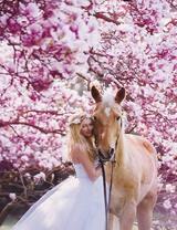 Девушка в белом и лошадь под сакурами