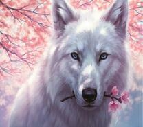 Волк с веткой сакуры в зубах