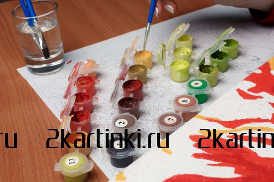 Картина по номерам 40x50 VA-3650 Кот среди перышек за 1100 руб. в интернет-магазине Картина по номерам 40x50 Кот среди перышек