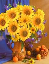 Яркий букет цветов и абрикосы