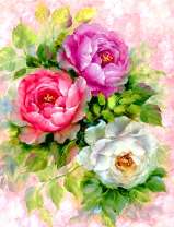 Три красивых пиона