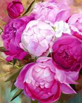 Розовые и красные пионы