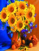 Букет декоративных подсолнухов и абрикосы