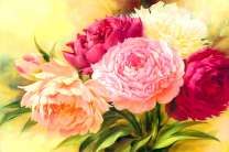 Разнообразие пионов