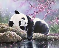 Сладкий сон панды