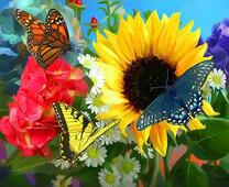 Бабочки на ярких цветах и подсолнухе