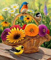 Яркие цветы и птицы