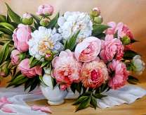 Большой букет пионов и белая драпировка