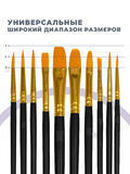 Тип товара Коробка 100 шт. Набор кистей для рисования с черными пластиковыми ручками (10 шт.)