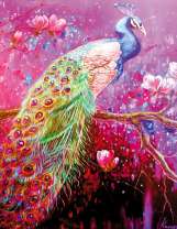 Цветущие сакуры и благородный павлин