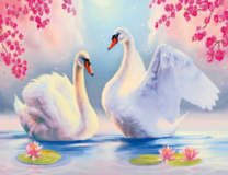 Белые лебеди под сакурой на озере